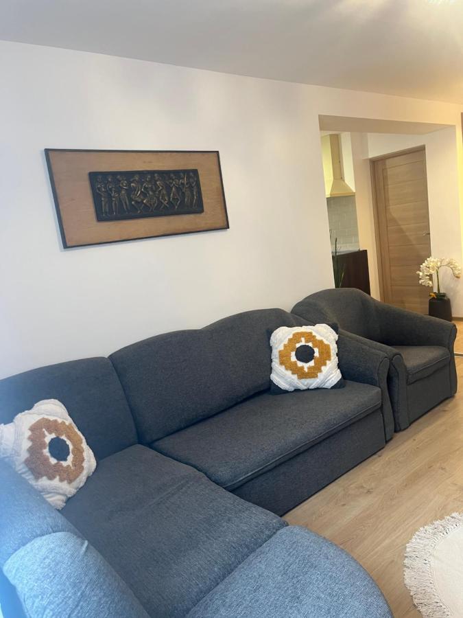 Roman Residence Apartment Borşa Buitenkant foto