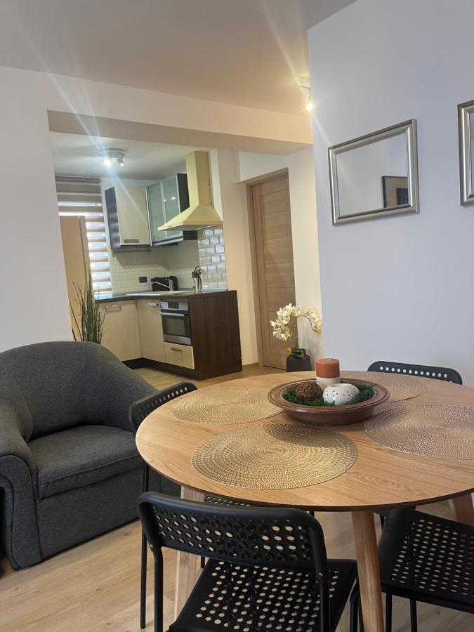 Roman Residence Apartment Borşa Buitenkant foto