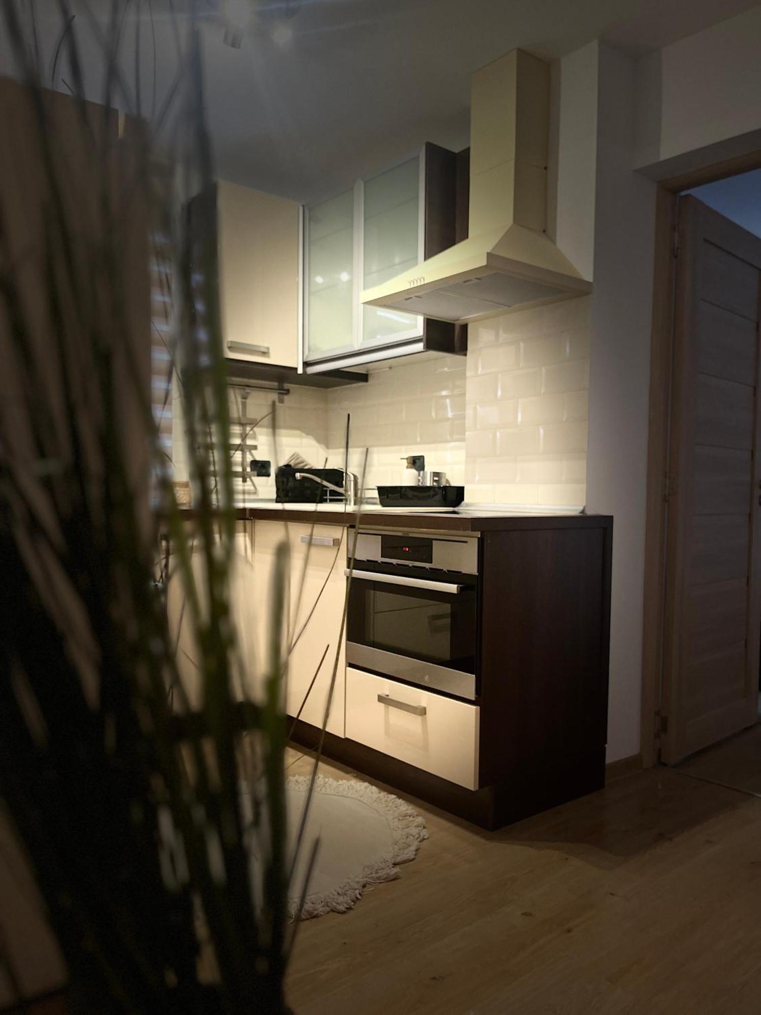 Roman Residence Apartment Borşa Buitenkant foto