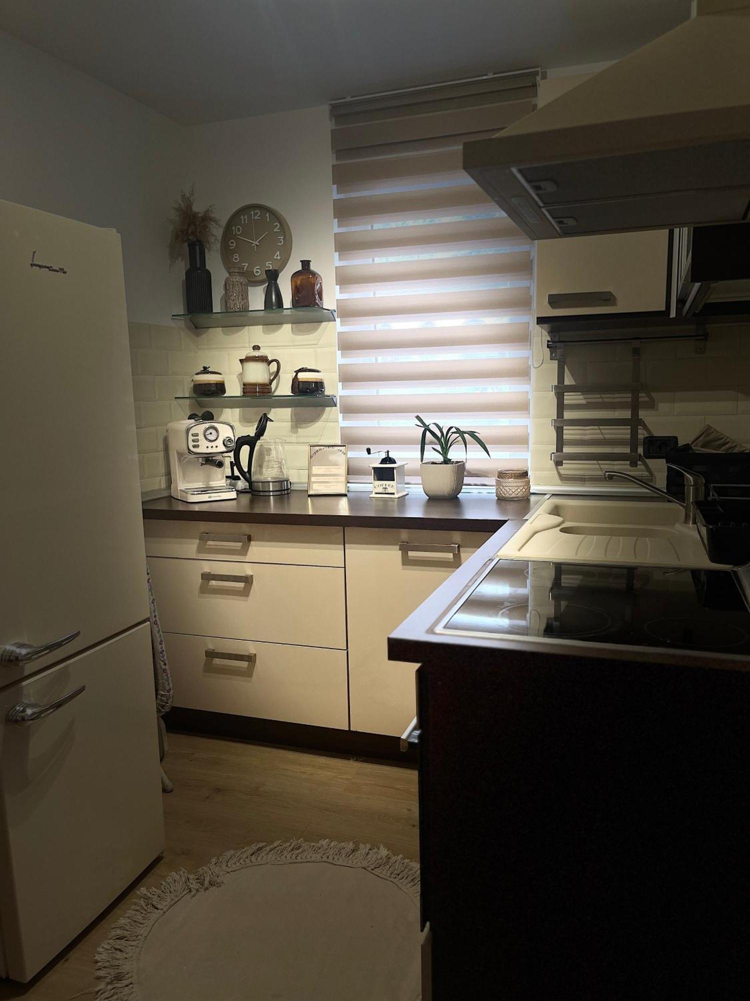 Roman Residence Apartment Borşa Buitenkant foto