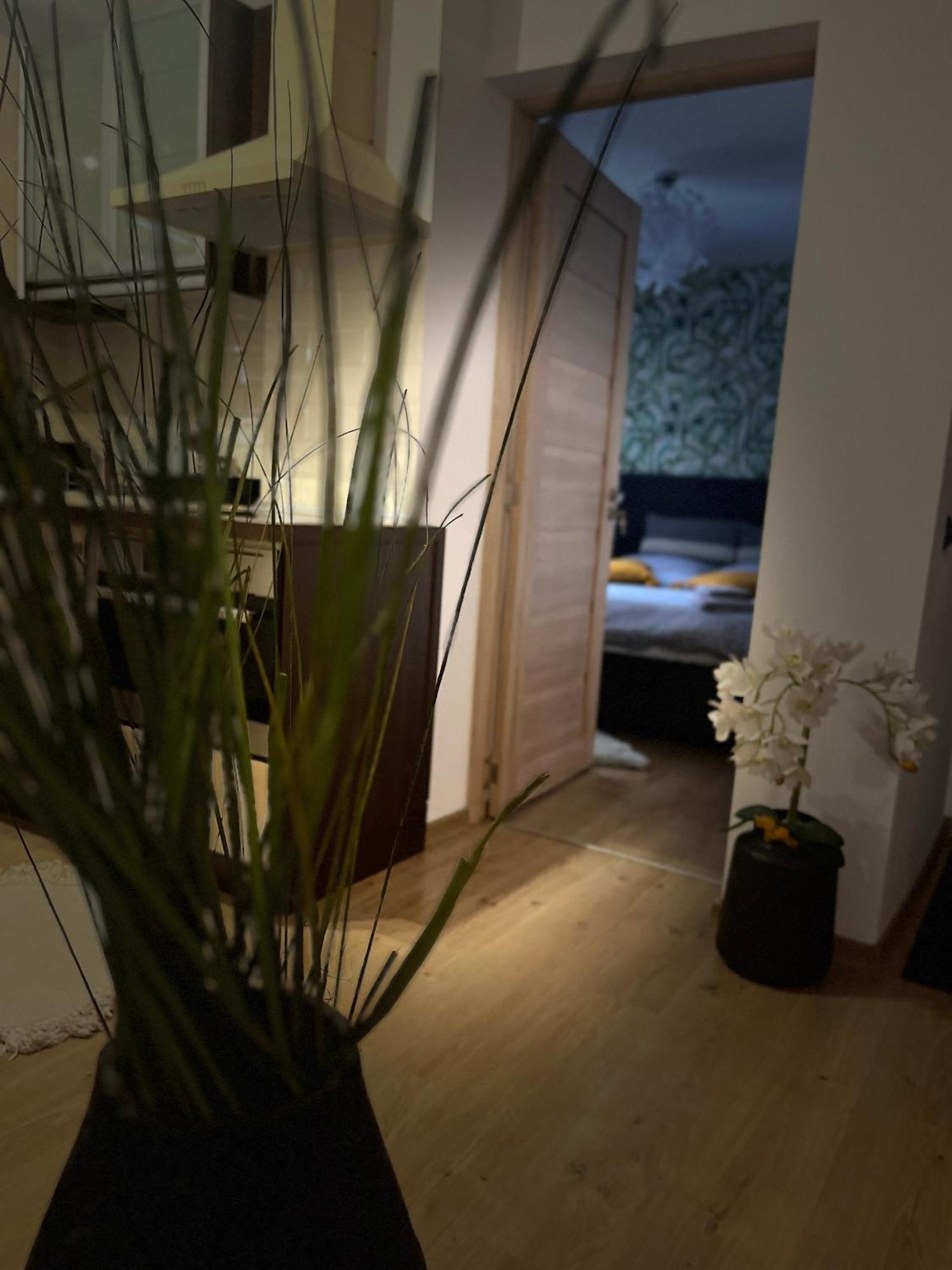 Roman Residence Apartment Borşa Buitenkant foto